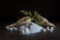 Sugar beet and white sugar Royalty Free Stock Photo