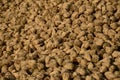 Sugar beets Royalty Free Stock Photo