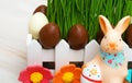 Sugar bunny and Easter chocolate eggs on green grass background Royalty Free Stock Photo