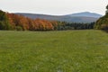 A sugar bush in autumn in the Appalachians