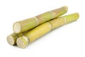 Sugar cane Royalty Free Stock Photo