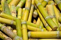 Sugar Cane Royalty Free Stock Photo