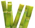 Sugar Cane Royalty Free Stock Photo