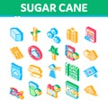 Sugar Cane Agriculture Isometric Icons Set Vector Royalty Free Stock Photo