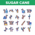 Sugar Cane Agriculture Collection Icons Set Vector Royalty Free Stock Photo