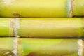 Sugar cane background