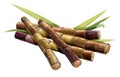 Sugar cane and cane Royalty Free Stock Photo