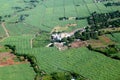 Sugar cane factory