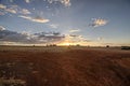 Sugar cane field after harvest at sunset Royalty Free Stock Photo