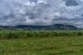 Sugar cane fields and mountains, Papua New Guinea