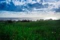 Sugar Cane Fields and ocean taken in Hawaii Royalty Free Stock Photo