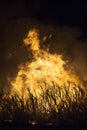 Sugar cane fire Royalty Free Stock Photo