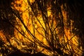 Sugar cane fire at night on the farm Royalty Free Stock Photo