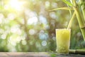 Sugar Cane Freshly Squeezed Juice with Sugar Cane Branches on Blurred Background, Sugarcane Juice Royalty Free Stock Photo