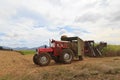 Sugar cane harvest in Mauritius Royalty Free Stock Photo