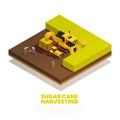 Sugar Cane Harvesting Isometric Composition