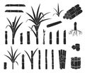 Sugar cane isolated black set icon. Vector black set icon sugarcane. Vector illustration sugar cane on white background Royalty Free Stock Photo