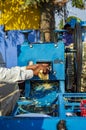 Sugar cane juice being sold at the street