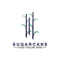 Sugar cane logo icon symbol vector illustration design template Royalty Free Stock Photo