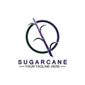 Sugar cane logo icon symbol vector illustration design template Royalty Free Stock Photo
