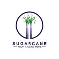 Sugar cane logo icon symbol vector illustration design template Royalty Free Stock Photo