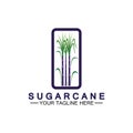 Sugar cane logo icon symbol vector illustration design template Royalty Free Stock Photo