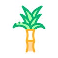 Sugar Cane Plant Icon Vector Outline Illustration
