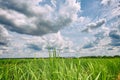 Sugar cane plantation and cloudy sky - Brazil coutryside