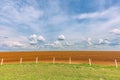 Sugar cane plantation and cloudy sky - Brazil coutryside