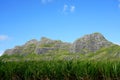 Sugar cane plantation in the mountains Royalty Free Stock Photo