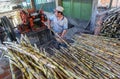 Sugar cane processing