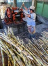 Sugar cane processing