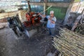 Sugar cane processing