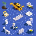 Sugar Cane Production Isometric Infographics