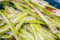 Sugar cane for recycling energy Sugarcane bagasse reuse for nature fiber paper and biofuel recycle fuel Royalty Free Stock Photo