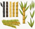 Sugar cane set. Cane plant, sugarcane harvest stalk, plant and leaves, sugar ingredient stem. Vector