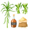 sugar cane set cartoon vector illustration Royalty Free Stock Photo