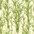 Sugar Cane Exotic Plant Seamless Pattern Vector Design Royalty Free Stock Photo