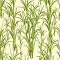 Sugar Cane Exotic Plant Seamless Pattern Vector Design