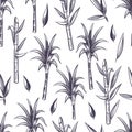 Sugar cane stalks with leaves, sugarcane plant vector seamless pattern Royalty Free Stock Photo