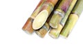 Sugar cane, Sugarcane heap, Pile of Cane, Sugarcane piece fresh, Sugar cane on white background, Sugarcane fresh