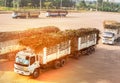 Sugar cane truck transporting long stems of sugarcane on its way to sugar mill factory. Sugar processing plant