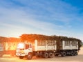 Sugar cane truck transporting long stems of sugarcane on its way to sugar mill factory. Sugar processing plant