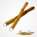 Sugar canes Royalty Free Stock Photo