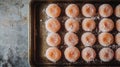 Sugar-coated donuts arranged in a baking tray Royalty Free Stock Photo