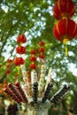 Sugar Coated Fruits and Chinese lanterns Royalty Free Stock Photo