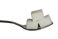 Sugar cobes on a teaspoon Royalty Free Stock Photo