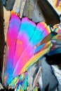 Sugar crystals in polarized light