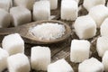 White refined sugar powder and cubes Royalty Free Stock Photo