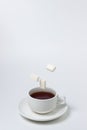 Sugar cubes fall into a cup of tea on a white background. A cup of tea with refined sugar. Royalty Free Stock Photo